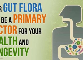 Secret to longevity may lie in the microbiome and the gut