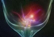 Study suggests a lack of cognitive flexibility and ability to retain new information may be a result of the Arc protein not being fully switched off