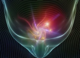 Study suggests a lack of cognitive flexibility and ability to retain new information may be a result of the Arc protein not being fully switched off