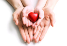 The molecules that energize babies’ hearts