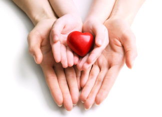 The molecules that energize babies’ hearts