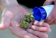 There is no significant link between cannabis use and suicidal behavior in people with mental health disorders
