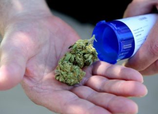 There is no significant link between cannabis use and suicidal behavior in people with mental health disorders
