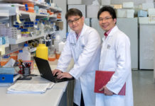 Triple negative breast cancer : computational geeks may have uncovered a therapy