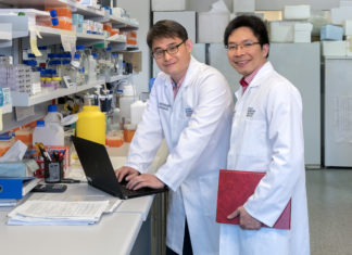 Triple negative breast cancer : computational geeks may have uncovered a therapy