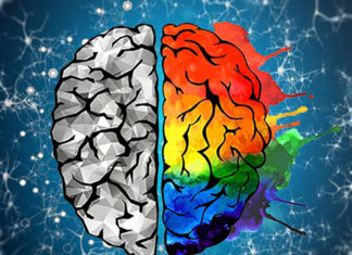 Study : early maternal diet affects brain development and adult memory