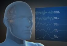 Alpha and theta oscillations move rhythmically across the brain, reflecting neural activity propagating across the cortex to help form working memory