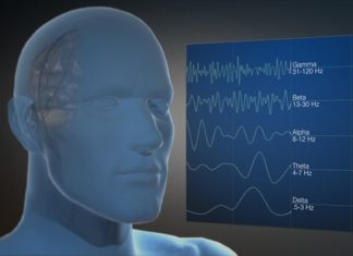 Alpha and theta oscillations move rhythmically across the brain, reflecting neural activity propagating across the cortex to help form working memory