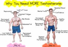Men’s testosterone levels are largely determined by their environment during childhood, according to new research