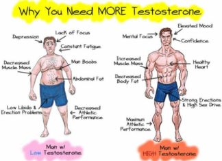 Men’s testosterone levels are largely determined by their environment during childhood, according to new research