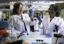 A City of Hope scientist has discovered a gene-editing technology that could efficiently and accurately correct the genetic defects that underlie certain diseases