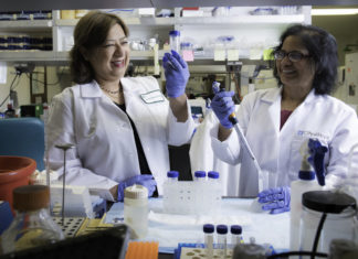 A City of Hope scientist has discovered a gene-editing technology that could efficiently and accurately correct the genetic defects that underlie certain diseases