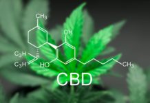 A controversial new study reports cannabis may not be as helpful in treating chronic pain as believed