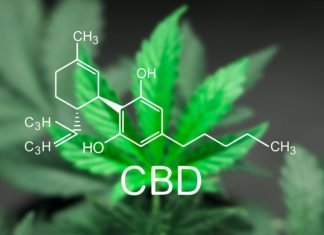 A controversial new study reports cannabis may not be as helpful in treating chronic pain as believed