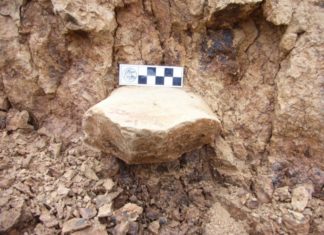 Ancient tools and bones discovered in China by archaeologists suggest early humans left Africa and arrived in Asia earlier than previously thought