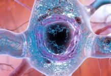 Scientists have discovered a “Big Bang” of Alzheimer’s disease – the precise point at which a healthy protein becomes toxic but has not yet formed deadly tangles in the brain