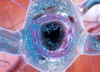 Scientists have discovered a “Big Bang” of Alzheimer’s disease – the precise point at which a healthy protein becomes toxic but has not yet formed deadly tangles in the brain