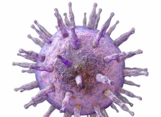 Cytomegalovirus may actually boost, not weaken, our immune systems