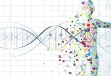 Derived from nature, a potential new drug to treat two life-threatening tropical diseases has been discovered as a result of collaboration between two Welsh universities