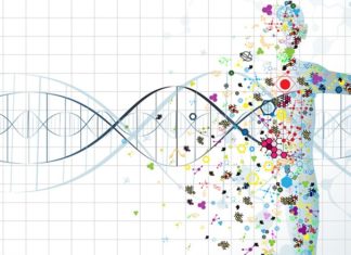 Derived from nature, a potential new drug to treat two life-threatening tropical diseases has been discovered as a result of collaboration between two Welsh universities