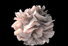 EPFL scientists have discovered two small-molecule for treating autoinflammatory diseases
