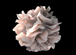 EPFL scientists have discovered two small-molecule for treating autoinflammatory diseases