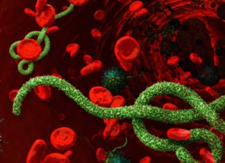 Ebola survivors suffer from severe neurological problems