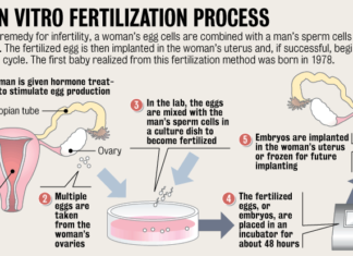 European IVF pregnancy rates now steady at around 36 percent, according to ESHRE monitoring