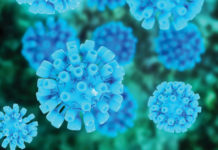Hepatitis C vaccine could dramatically reduce transmission in people who inject drugs