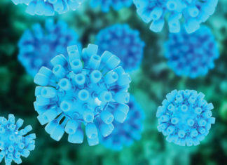 Hepatitis C vaccine could dramatically reduce transmission in people who inject drugs