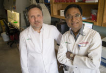 Metformin reverses established lung fibrosis