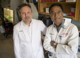 Metformin reverses established lung fibrosis