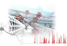 Molecular/carbon nanotube network devices enable artificial spiking neurons that mimic nerve impulse generation