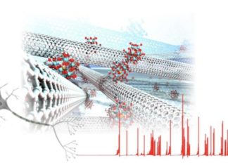 Molecular/carbon nanotube network devices enable artificial spiking neurons that mimic nerve impulse generation