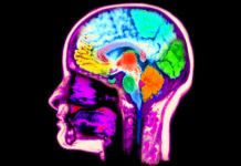 Neurobiologists have identified a mechanism that allows the brain to recreate vivid sensory experiences from memory
