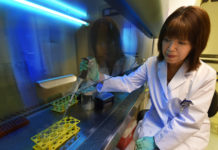 New targets found to reduce blood vessel damage in diabetes