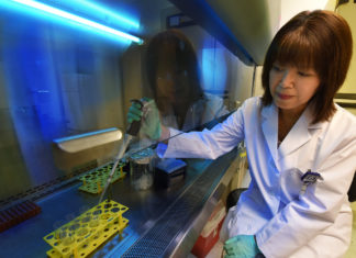 New targets found to reduce blood vessel damage in diabetes