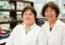 Research has shown increased MAO-A expression in prostate cancer, glioma and classical Hodgkin lymphoma