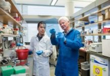 Researchers discovered a pair of inherited genetic mutations underlying a familial blood disorder that sometimes leads to leukemia
