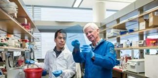 Researchers discovered a pair of inherited genetic mutations underlying a familial blood disorder that sometimes leads to leukemia