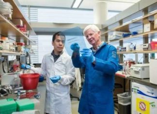 Researchers discovered a pair of inherited genetic mutations underlying a familial blood disorder that sometimes leads to leukemia