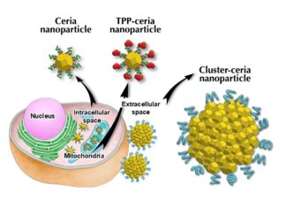 Researchers have developed a set of nanoparticles for Parkinson’s disease treatment