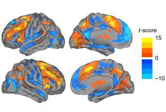 Researchers uncover hidden brain states that regulate performance and decision making