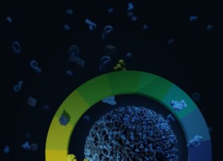 Scientists (MPI-P) have developed a new method to enable miniature drug-filled nanocarriers to dock on to immune cells, which in turn attack tumors