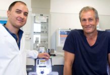 When a muscle is acutely injured – whether through accidental strain or intentional weight lifting – special repair cells called fibro-adipogenic progenitors (FAPs) rush to the rescue