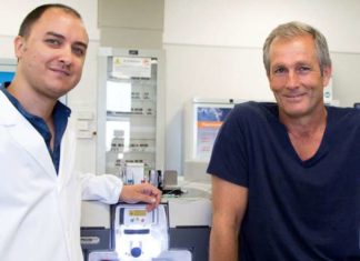 When a muscle is acutely injured – whether through accidental strain or intentional weight lifting – special repair cells called fibro-adipogenic progenitors (FAPs) rush to the rescue