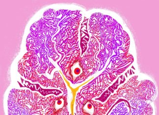 The immune system can be an important ally in the fight against cancer