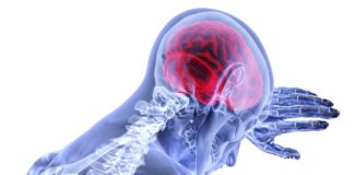 Vitamin D no defence against dementia