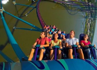 Why so many people are hooked on the thrill of roller coaster riding ?
