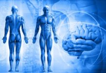 A new study reports patients with major depressive disorder and treatment resistant depression have decreased levels of acetyl-L-carnitine in their blood